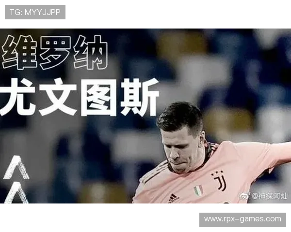 维罗纳防线稳固彰显军事实力，专家解读其战略意义